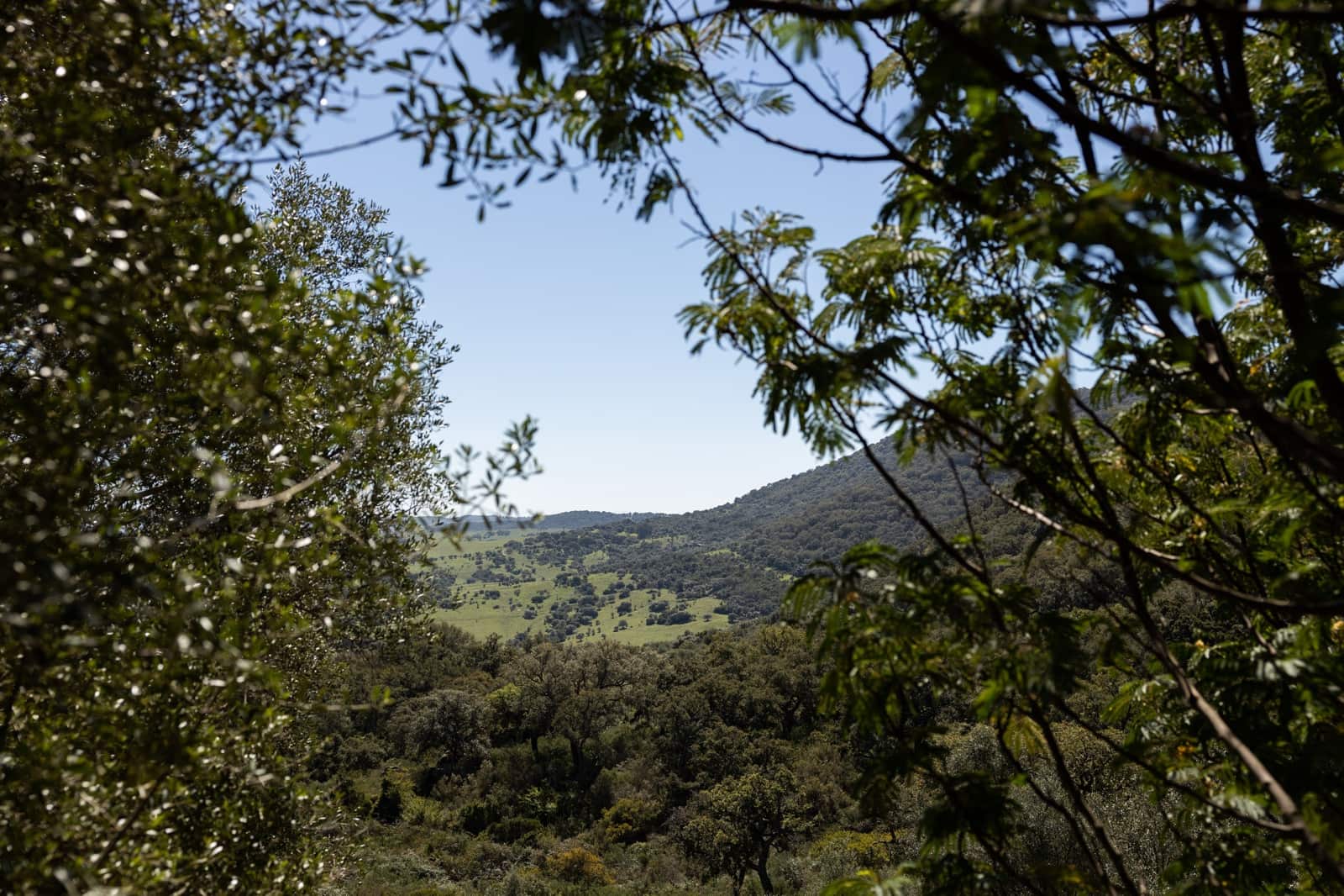 9 camera da letto Finca/Casa di Campagna in vendita in Jimena de la Frontera - 3.290.000 € (Rif: 7623354)