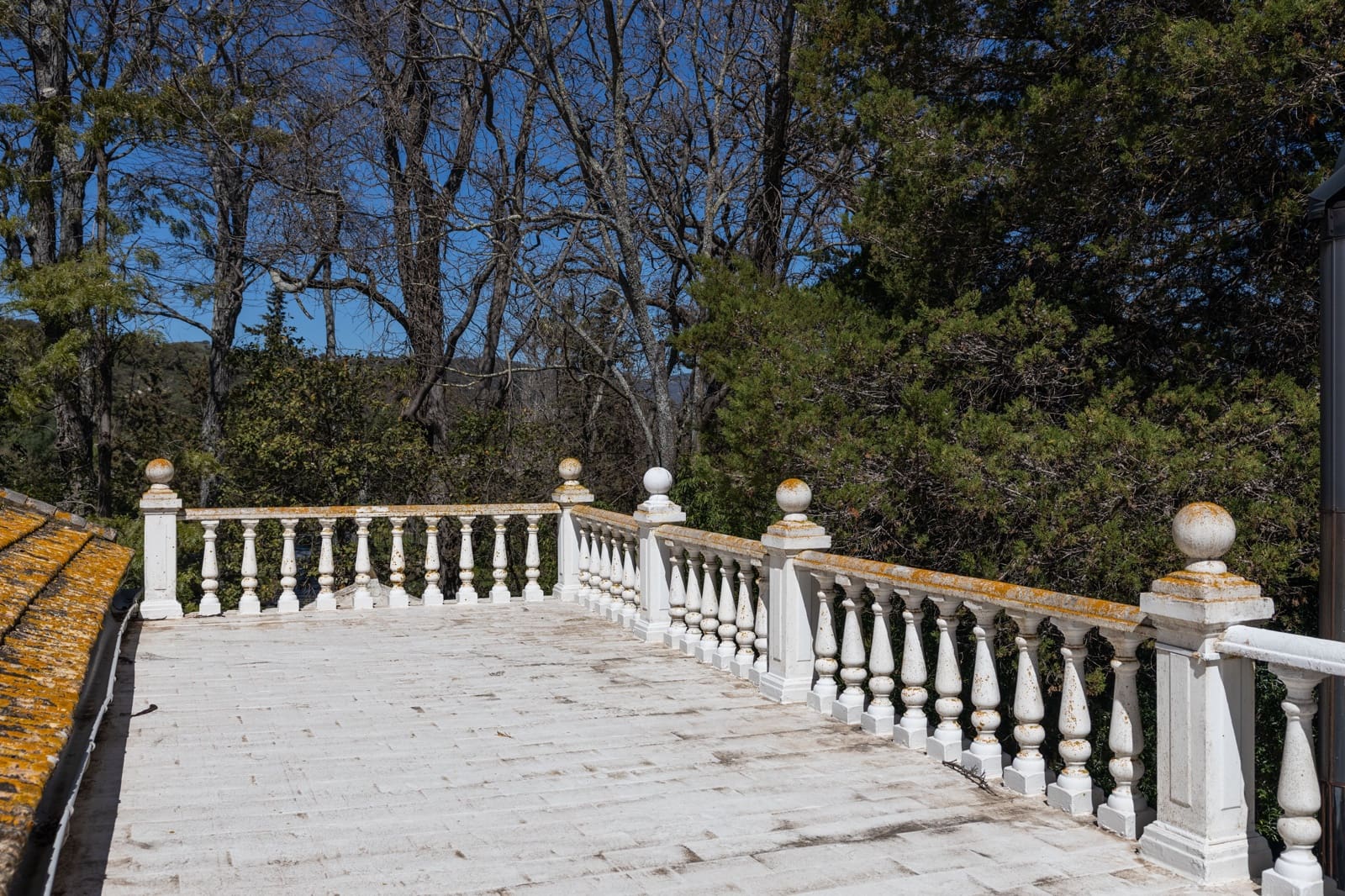 9 camera da letto Finca/Casa di Campagna in vendita in Jimena de la Frontera - 3.290.000 € (Rif: 7623354)