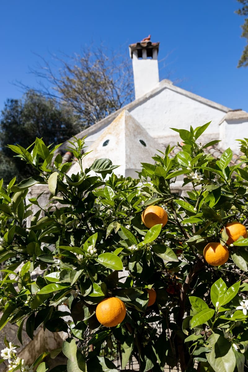 9 camera da letto Finca/Casa di Campagna in vendita in Jimena de la Frontera - 3.290.000 € (Rif: 7623354)