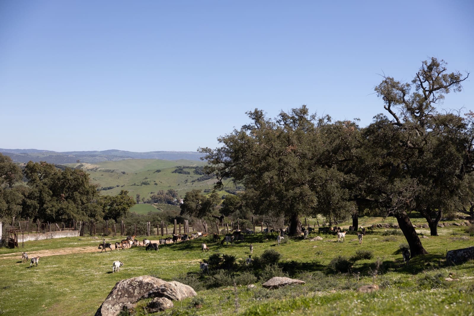 9 camera da letto Finca/Casa di Campagna in vendita in Jimena de la Frontera - 3.290.000 € (Rif: 7623354)