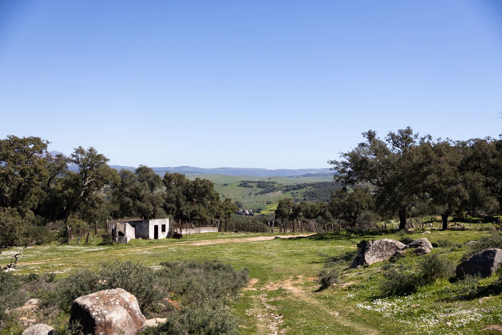 9 camera da letto Finca/Casa di Campagna in vendita in Jimena de la Frontera - 3.290.000 € (Rif: 7623354)