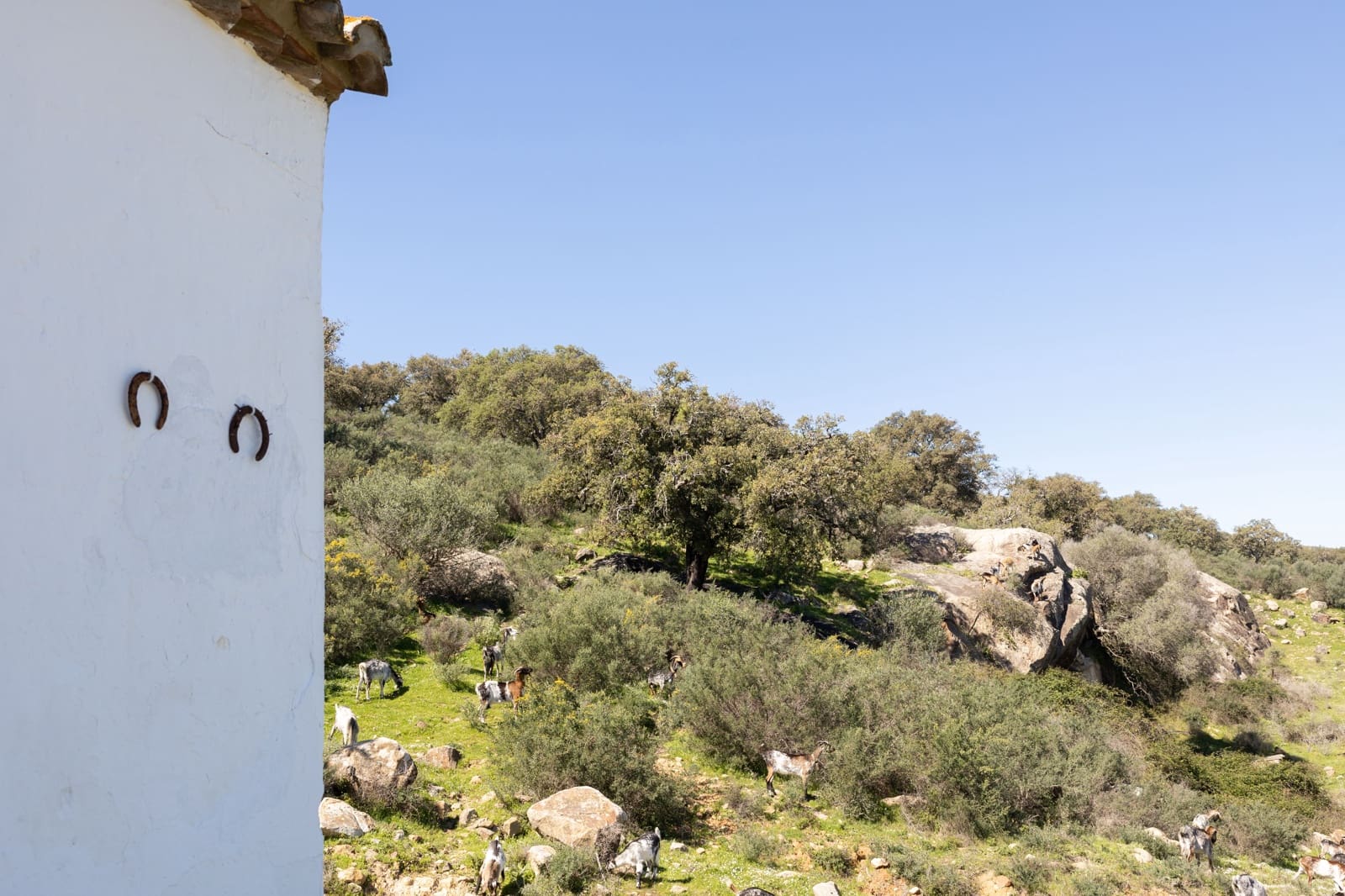 9 camera da letto Finca/Casa di Campagna in vendita in Jimena de la Frontera - 3.290.000 € (Rif: 7623354)