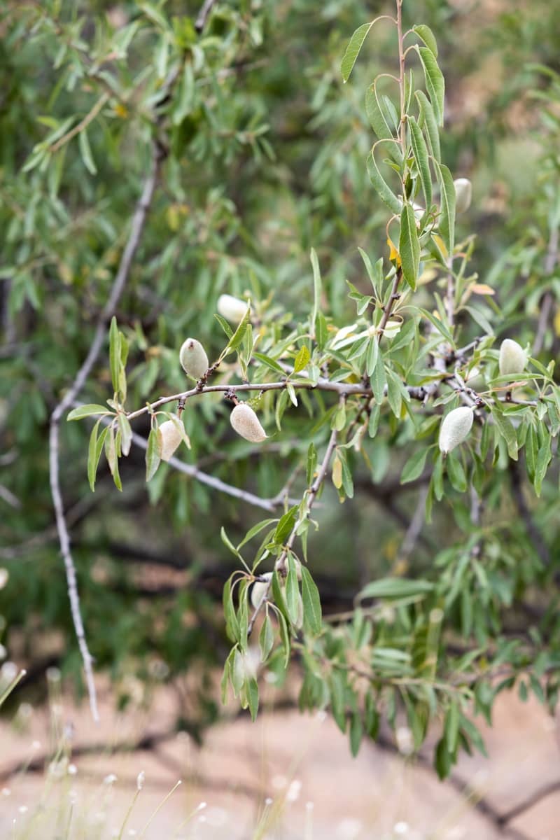 Byhus til salg i Cartama - € 639.000 (Ref: 7677333)