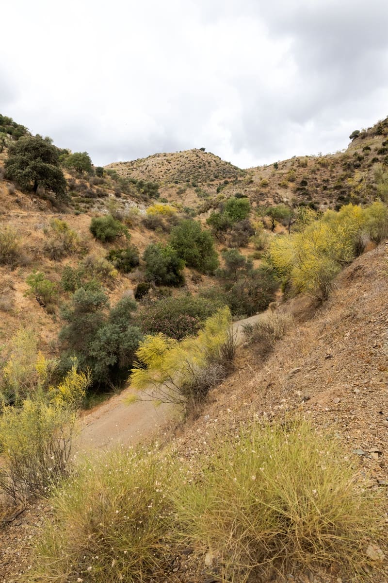 Byhus til salg i Cartama - € 639.000 (Ref: 7677333)