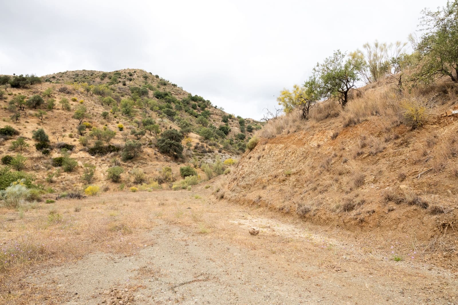 Byhus til salg i Cartama - € 639.000 (Ref: 7677333)