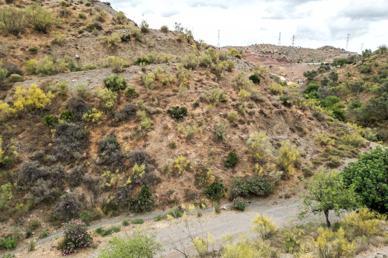 Byhus til salg i Cartama - € 639.000 (Ref: 7677333)