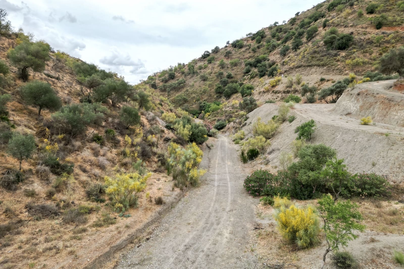 Byhus til salg i Cartama - € 639.000 (Ref: 7677333)