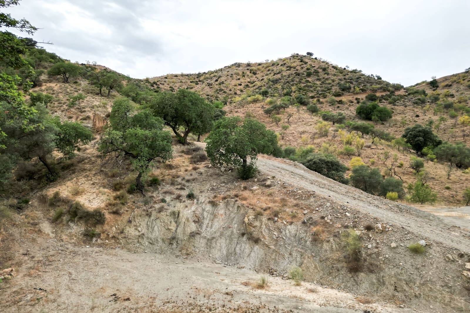 Byhus til salg i Cartama - € 639.000 (Ref: 7677333)