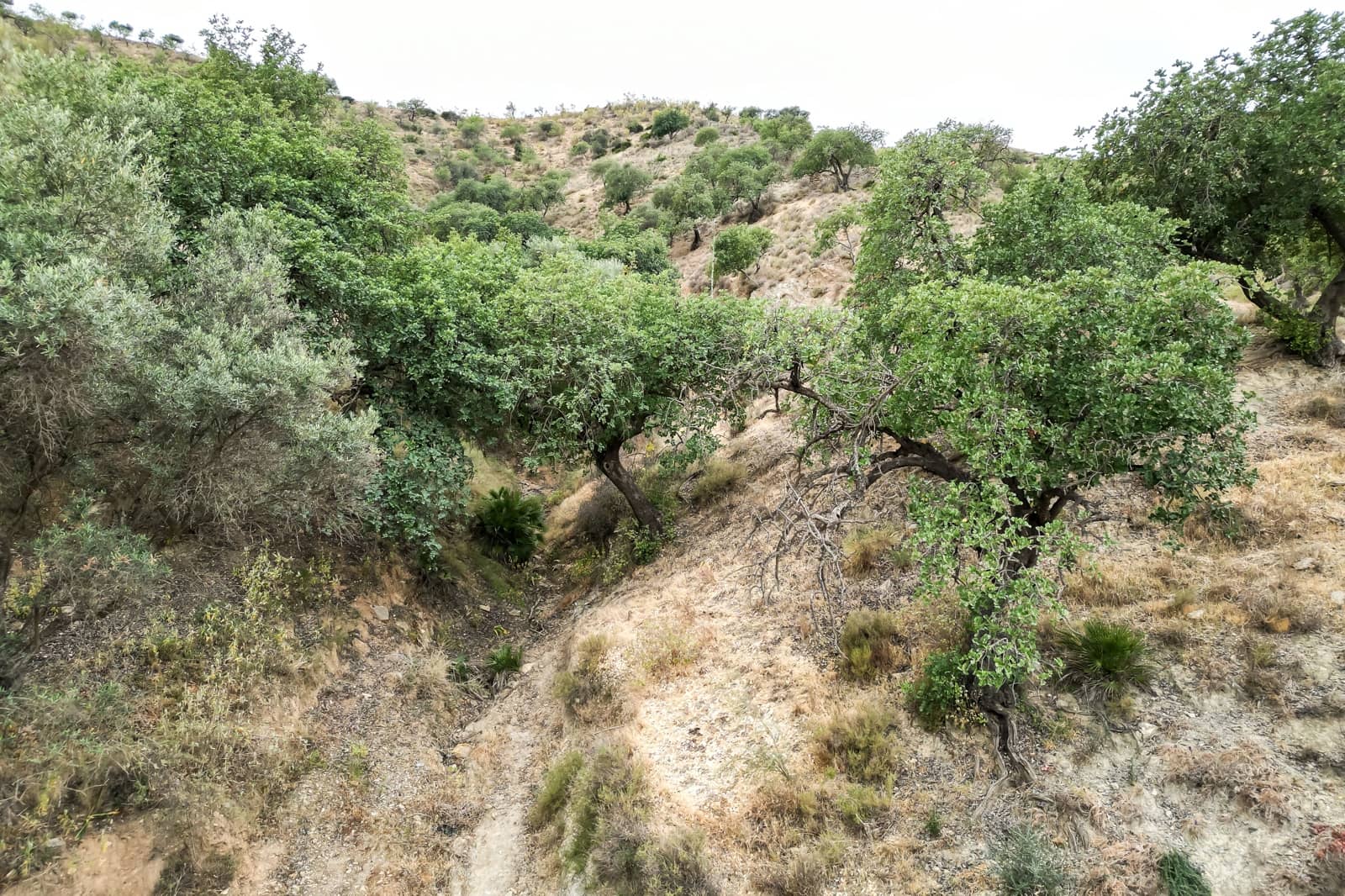 Byhus til salg i Cartama - € 639.000 (Ref: 7677333)