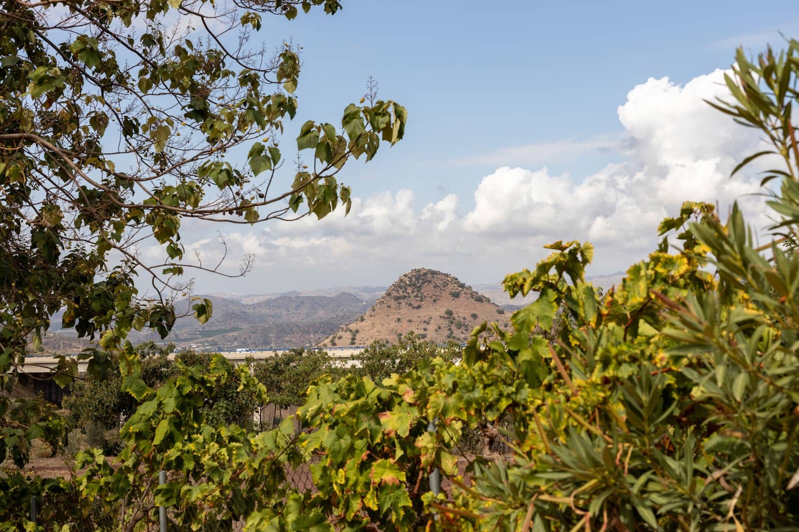 9 sypialnia Dom na sprzedaż w Puerto de la Torre z basenem - 2 200 000 € (Ref: 7791795)