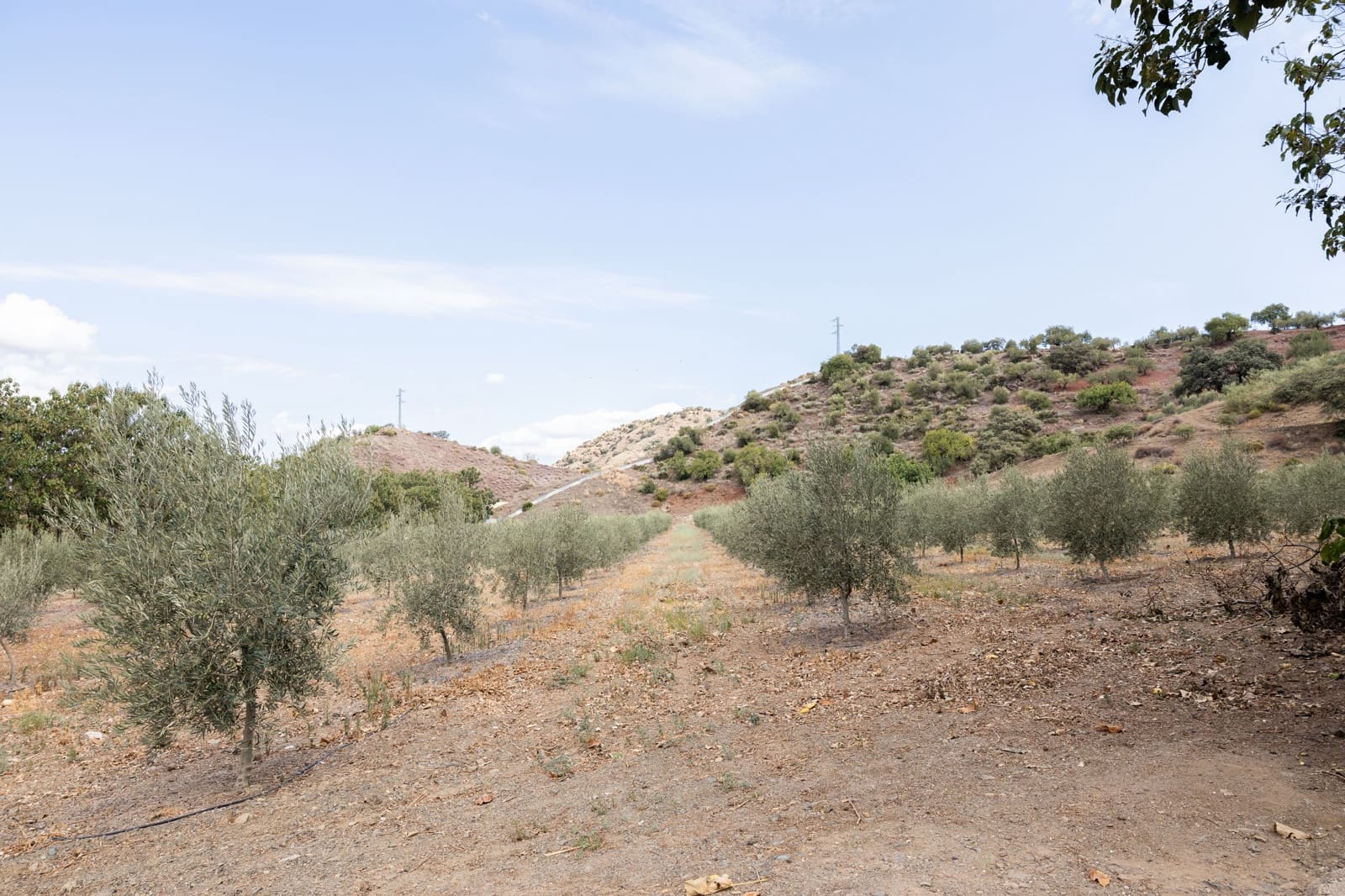 9 sypialnia Dom na sprzedaż w Puerto de la Torre z basenem - 2 200 000 € (Ref: 7791795)