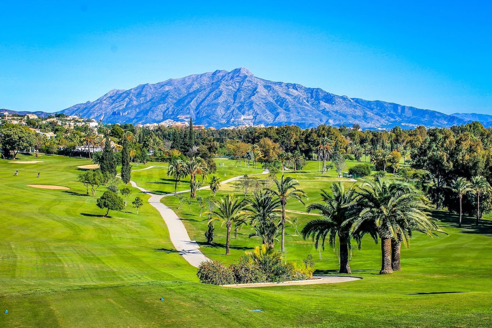 Huis te koop in El Paraiso met zwembad - € 1.800.000 (Ref: 7842549)