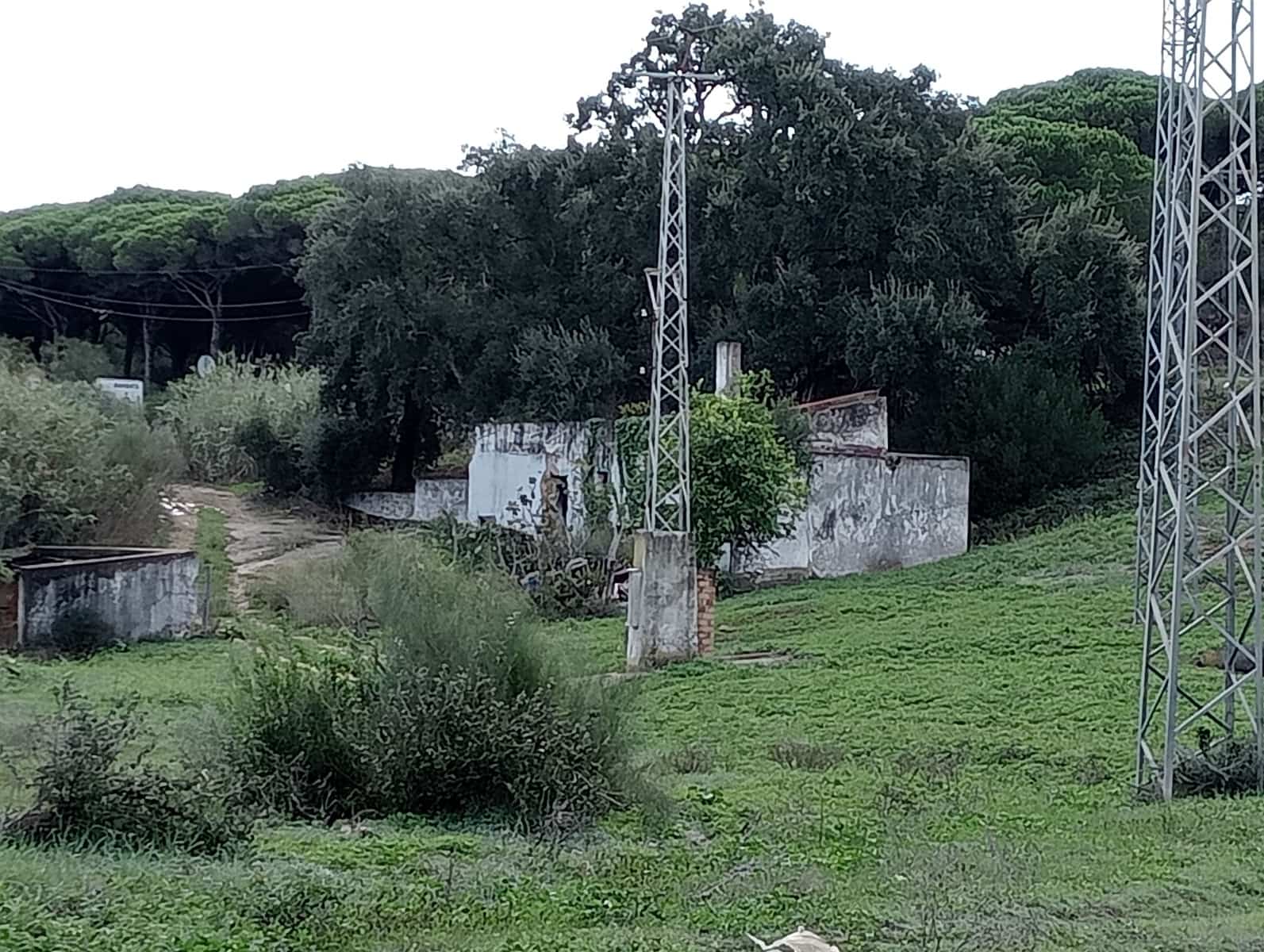 Dom na sprzedaż w Barbate - 4 500 000 € (Ref: 7880996)