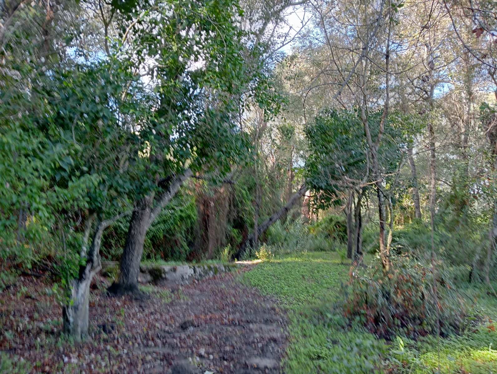 Dom na sprzedaż w Barbate - 4 500 000 € (Ref: 7880996)