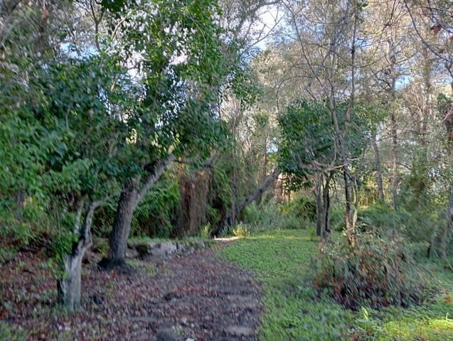 Byhus til salg i Barbate - € 4.500.000 (Ref: 7880996)