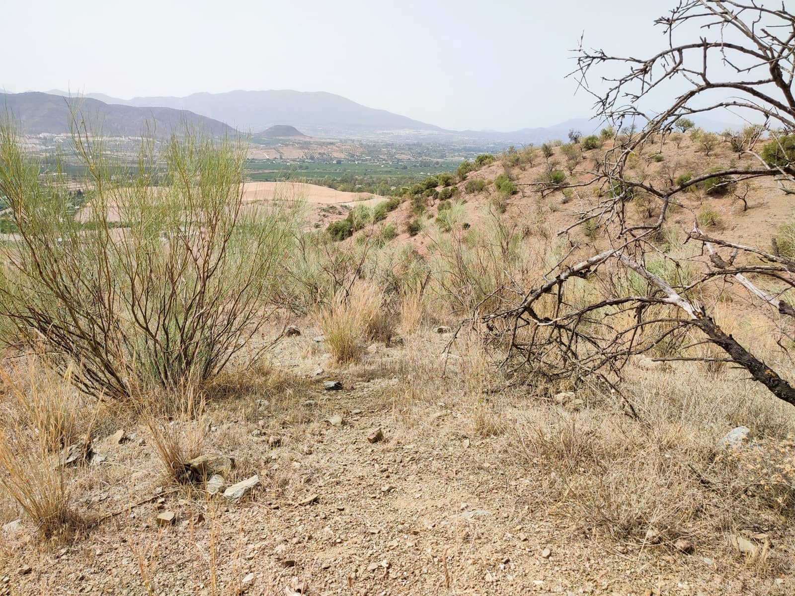 Casa em Banda para venda em Cartama - 120 000 € (Ref: 7884450)