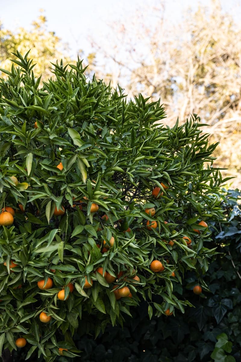 5 sypialnia Willa na sprzedaż w Coin z basenem - 629 000 € (Ref: 7933047)