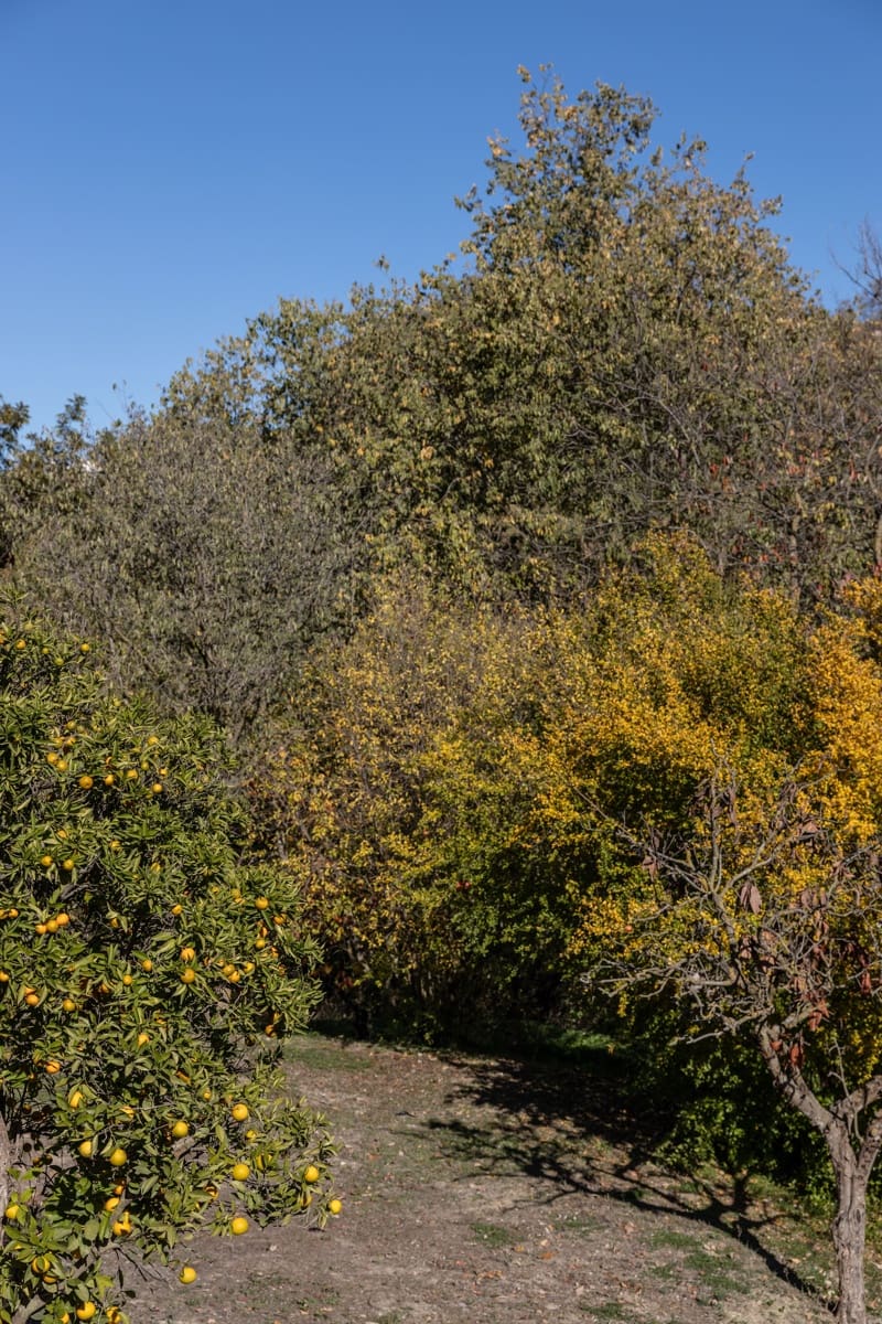 5 sypialnia Willa na sprzedaż w Coin z basenem - 629 000 € (Ref: 7933047)