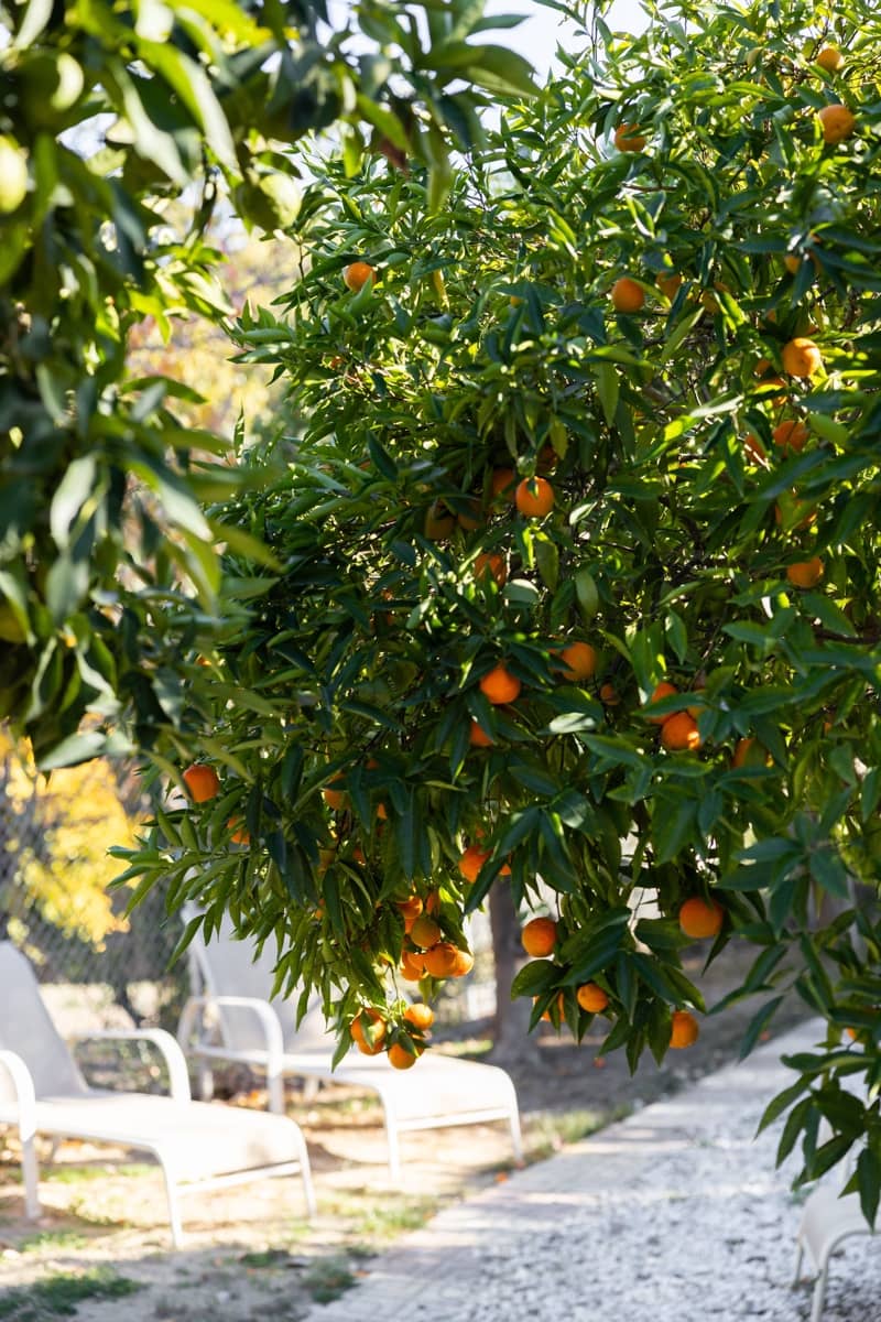 5 sypialnia Willa na sprzedaż w Coin z basenem - 629 000 € (Ref: 7933047)