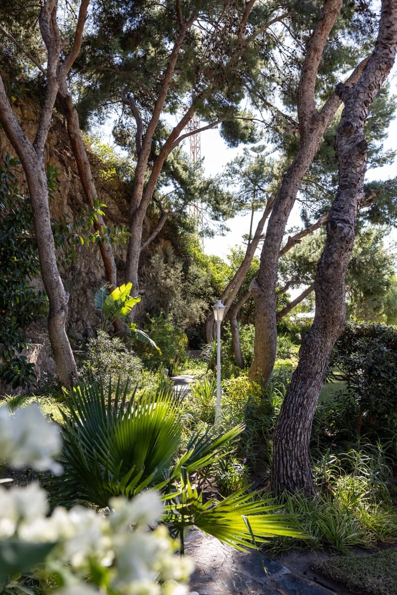 5 sypialnia Willa na sprzedaż w Miasto Malaga z basenem - 2 495 000 € (Ref: 7969688)