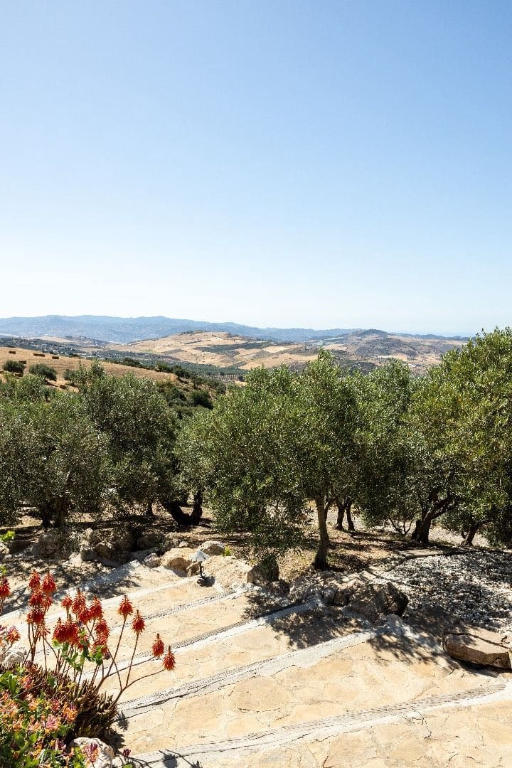 5 makuuhuone Huvila myytävänä paikassa Antequera mukana uima-altaan - 2 550 000 € (Ref: 8089483)