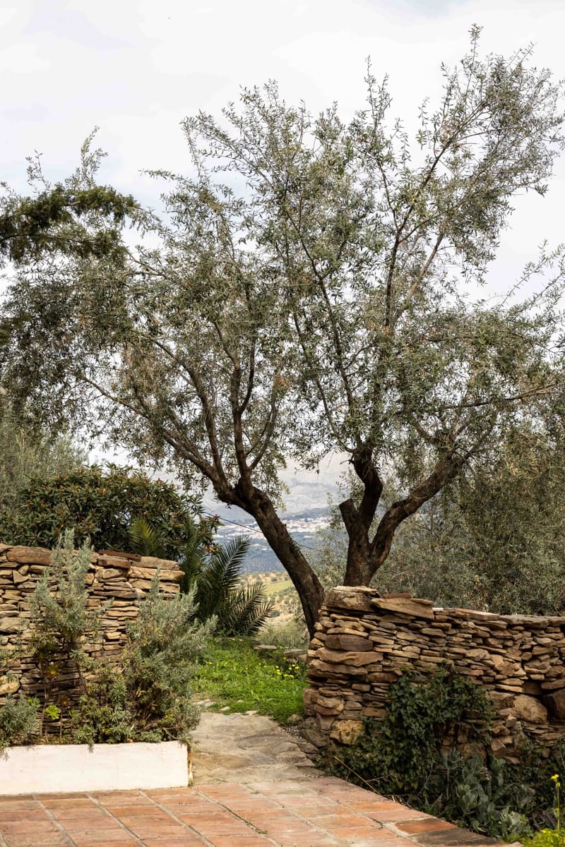 31 soveværelse Byhus til salg i Vinuela med swimmingpool - € 2.950.000 (Ref: 8150952)