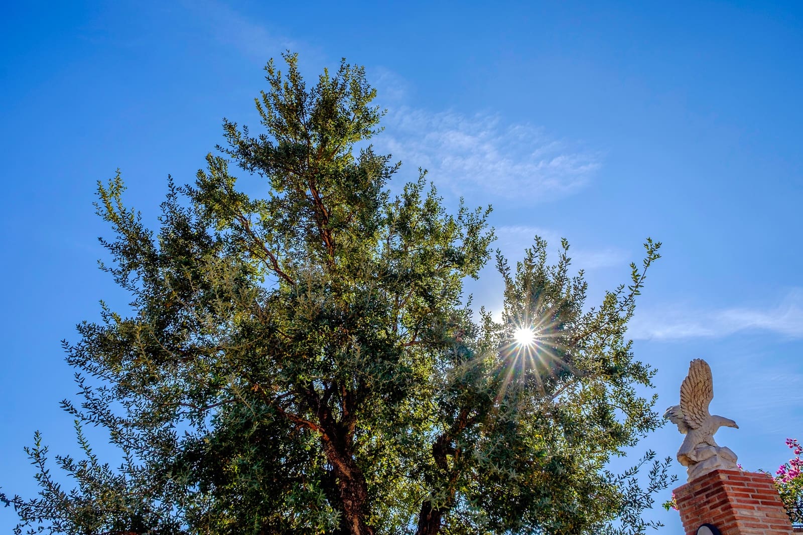 6 sypialnia Willa na sprzedaż w Estepona z basenem - 995 000 € (Ref: 8168763)