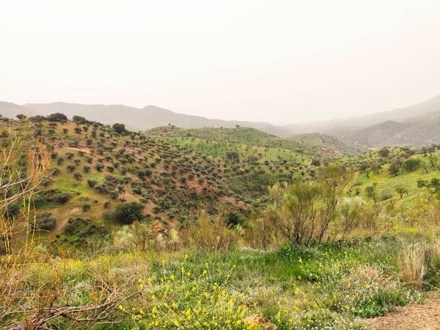 5 makuuhuone Omakotitalo myytävänä paikassa Dsmo Dm Ciudad Jardin, Málaga kaupunki - 3 600 000 € (Ref: 8208909)