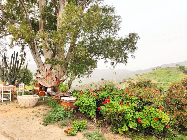 5 makuuhuone Omakotitalo myytävänä paikassa Dsmo Dm Ciudad Jardin, Málaga kaupunki - 3 600 000 € (Ref: 8208909)