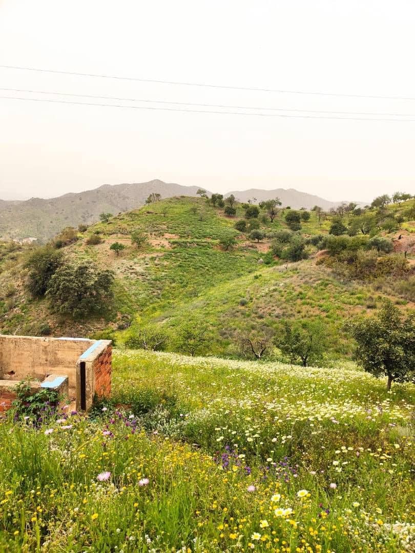 5 soveværelse Byhus til salg i Malaga by - € 3.600.000 (Ref: 8208909)