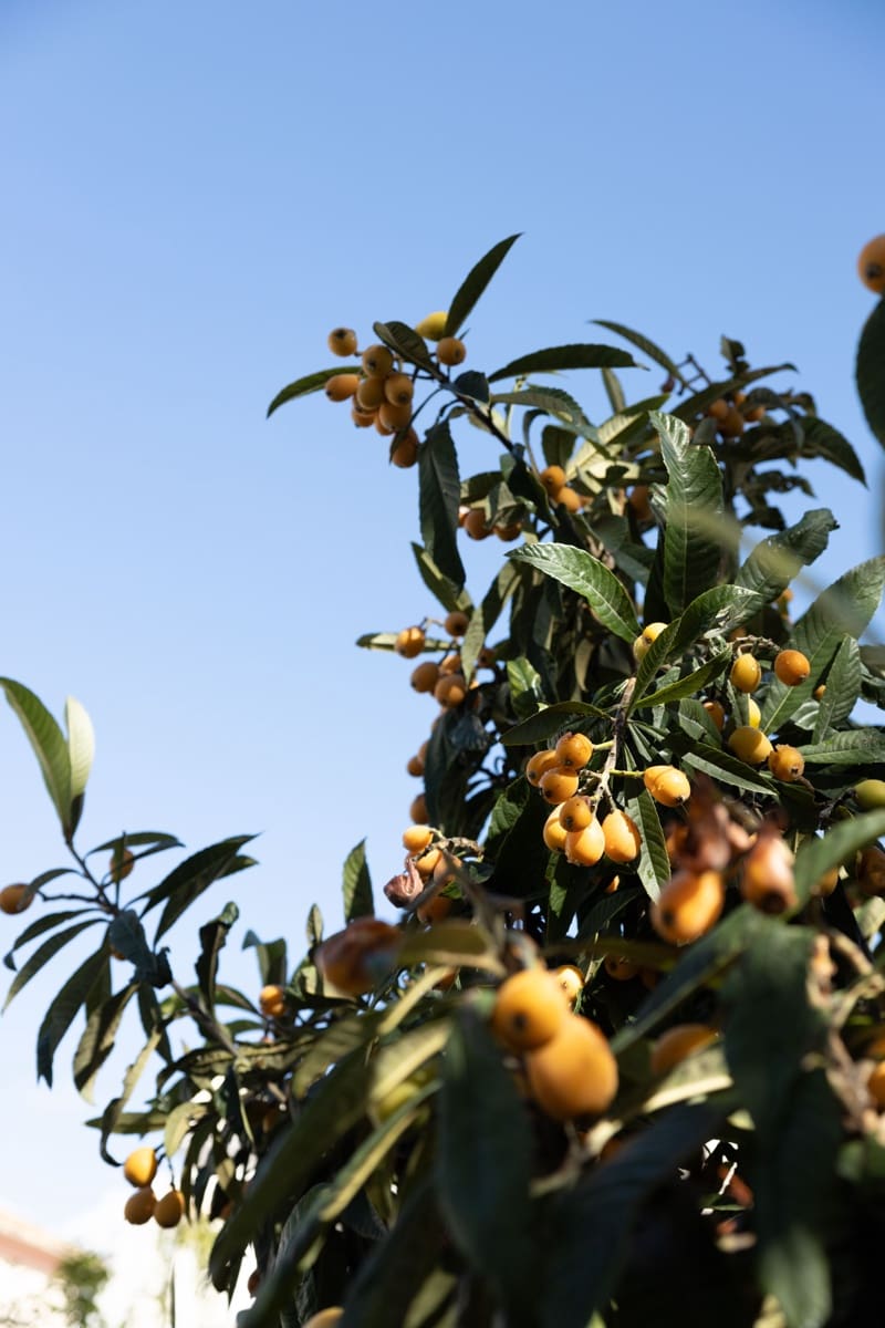 4 soveværelse Villa til salg i San Pedro de Alcantara med swimmingpool - € 1.695.000 (Ref: 8213179)