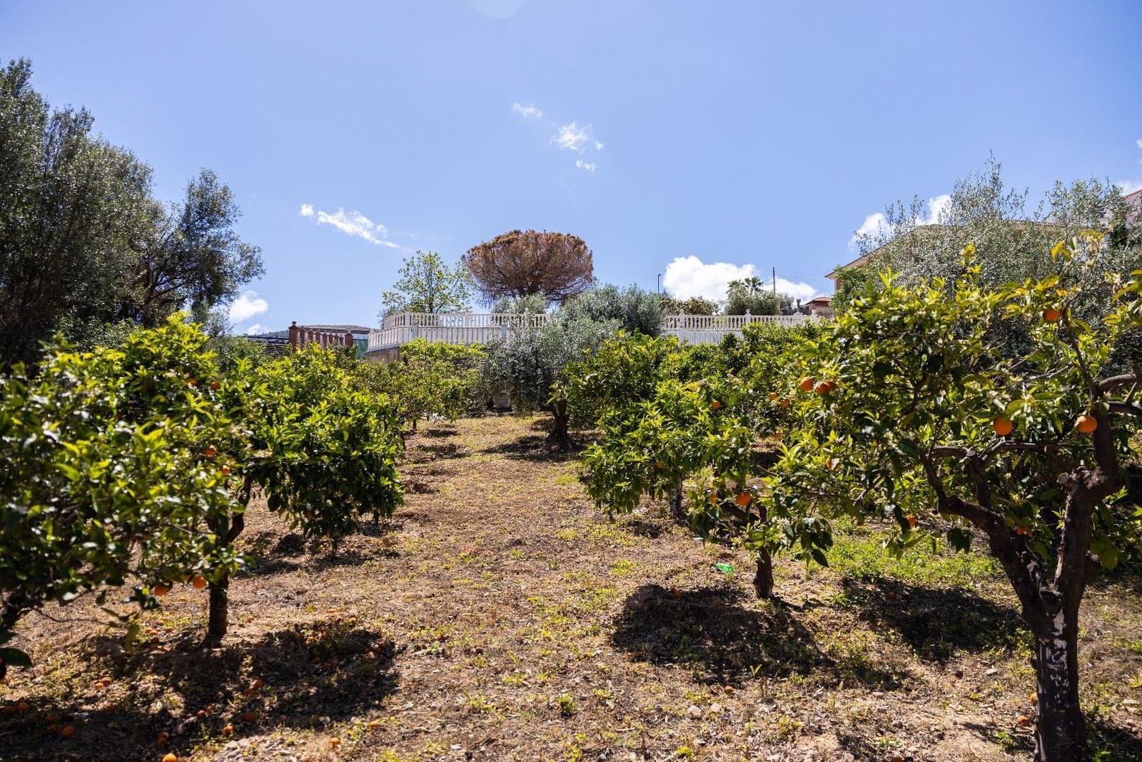 Casa in vendita in Alhaurin de la Torre con piscina - 360.000 € (Rif: 8220245)