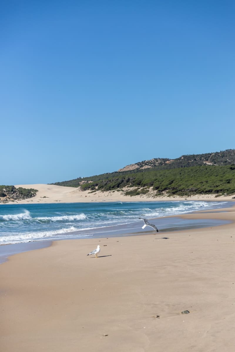 Byhus til salg i Tarifa - € 600.000 (Ref: 8305182)