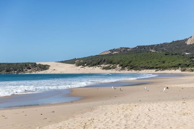 Byhus til salg i Tarifa - € 600.000 (Ref: 8305182)