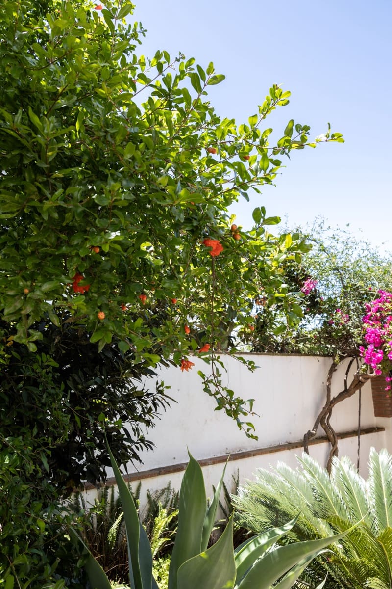 5 sypialnia Dom na sprzedaż w San Pedro de Alcantara - 695 000 € (Ref: 8316668)