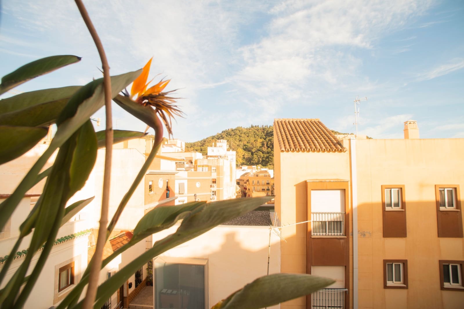 4 soveværelse Byhus til salg i Malaga by - € 1.585.000 (Ref: 8364172)