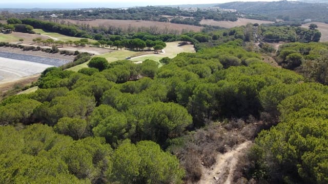 Casa in vendita in Sotogrande Alto, San Roque - 3.000.000 € (Rif: 8440777)