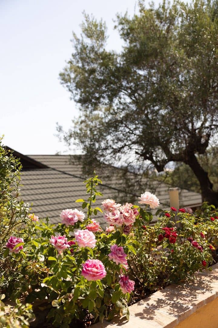 4 soverom Finca/Herregård til salgs i Monda med svømmebasseng - € 995 000 (Ref: 8472774)