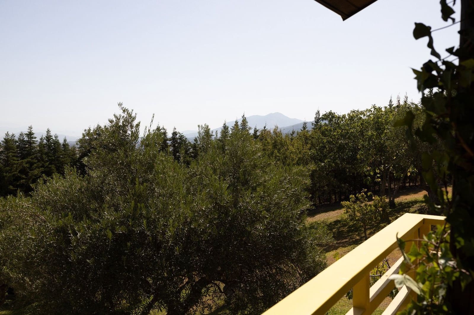 4 soverom Finca/Herregård til salgs i Monda med svømmebasseng - € 995 000 (Ref: 8472774)