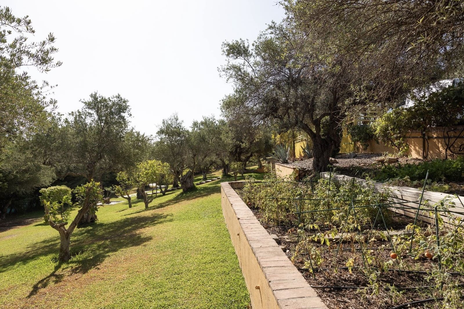 4 soverom Finca/Herregård til salgs i Monda med svømmebasseng - € 995 000 (Ref: 8472774)