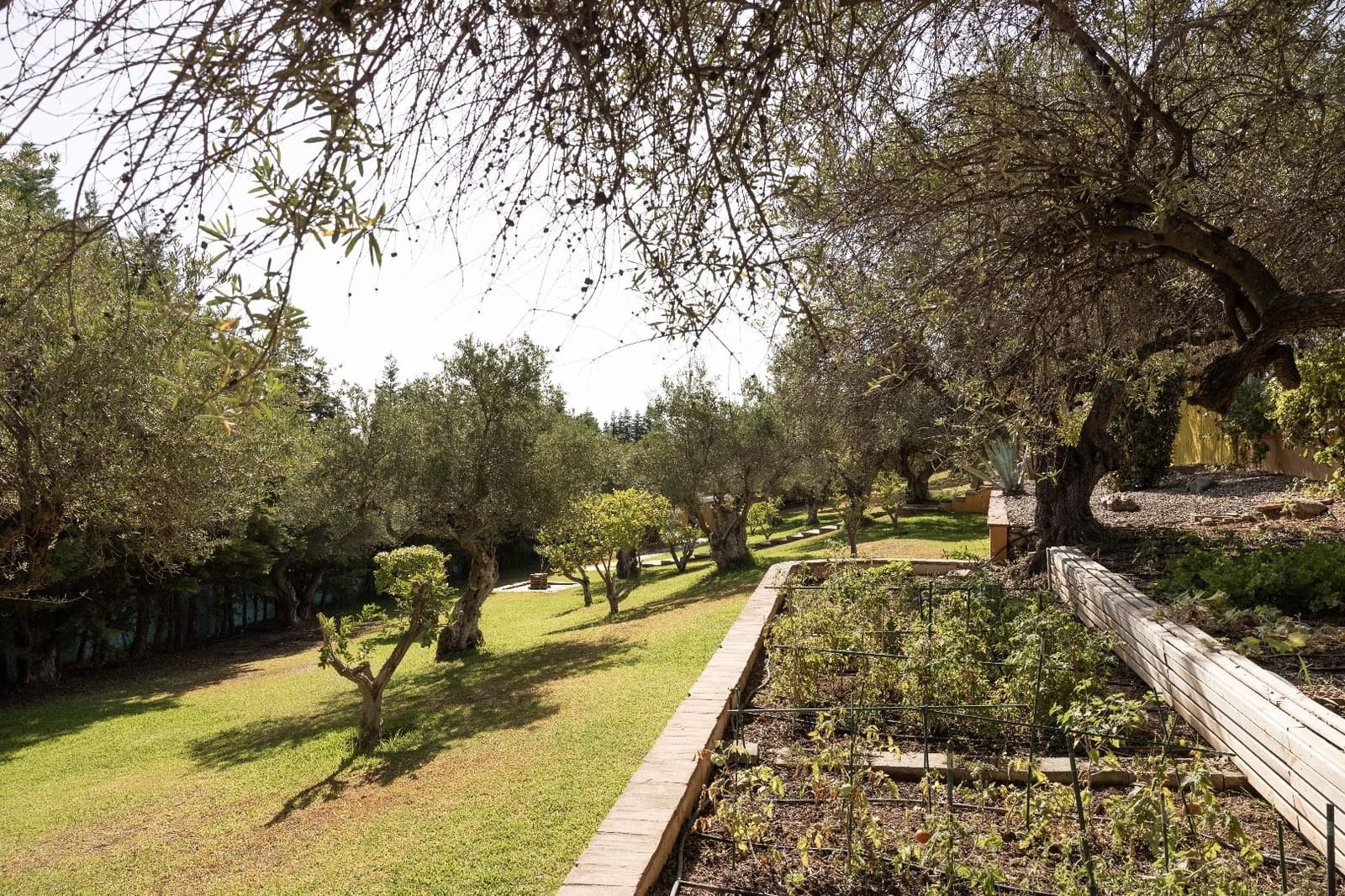 4 soverom Finca/Herregård til salgs i Monda med svømmebasseng - € 995 000 (Ref: 8472774)