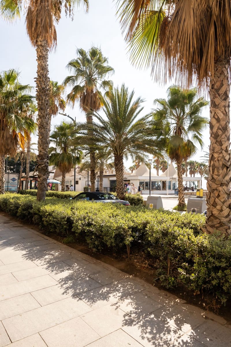 4 soveværelse Lejlighed til salg i Malaga by - € 1.530.000 (Ref: 8489782)