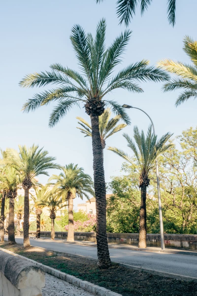 5 soveværelse Byhus til salg i Palma de Mallorca - € 1.050.000 (Ref: 8524708)