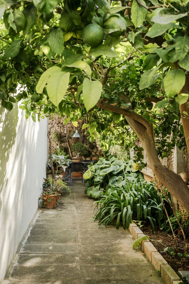 5 soveværelse Byhus til salg i Palma de Mallorca - € 1.050.000 (Ref: 8524708)