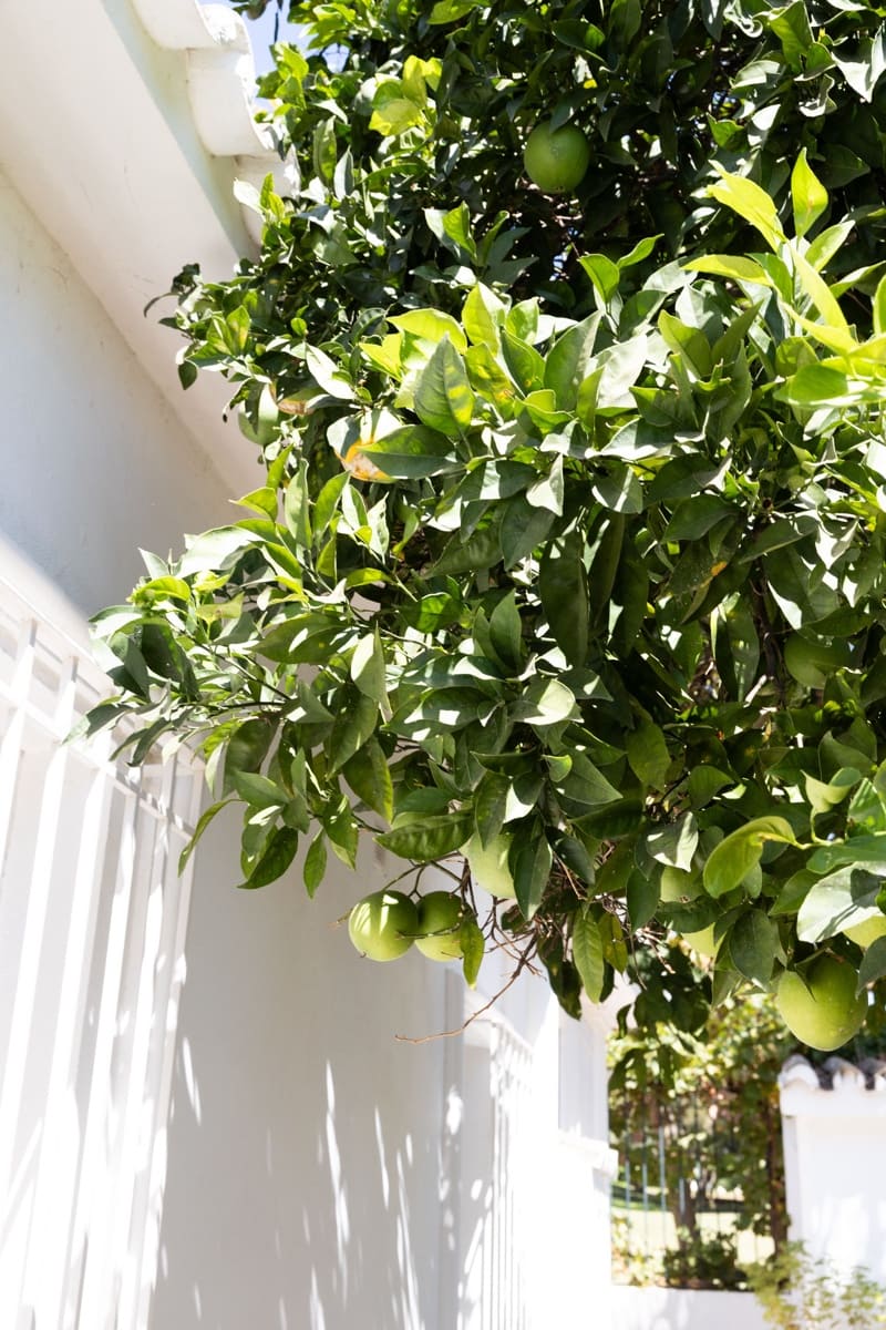 3 sypialnia Willa na sprzedaż w San Pedro de Alcantara - 1 490 000 € (Ref: 8533373)