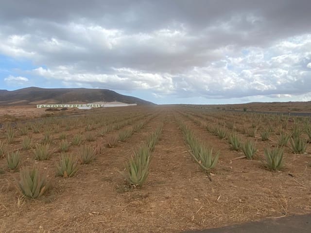 Finca/Landgut zu verkaufen in Antigua - 2.900.000 € (Ref: 8628272)