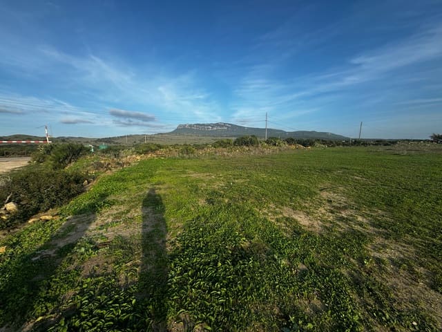 Casa en Tarifa en venta - 1.500.000 € (Ref: 8647434)