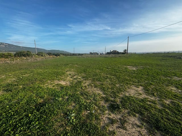 Casa en Tarifa en venta - 1.500.000 € (Ref: 8647434)