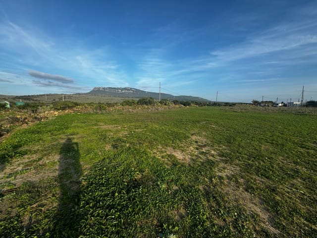 Casa en Tarifa en venta - 1.500.000 € (Ref: 8647434)