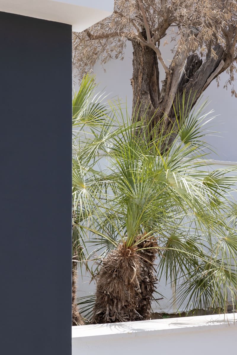 5 sypialnia Willa na sprzedaż w Miasto Malaga z basenem - 1 790 000 € (Ref: 8678690)